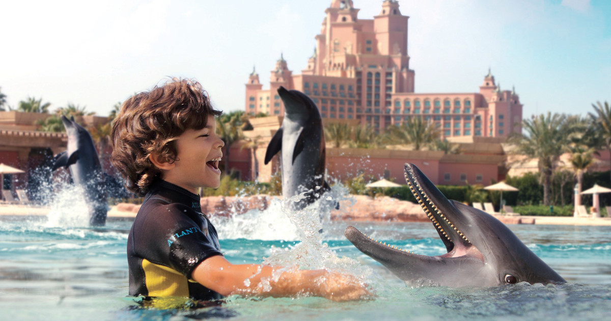 Dubai: Shallow Water Dolphin Encounter at Atlantis